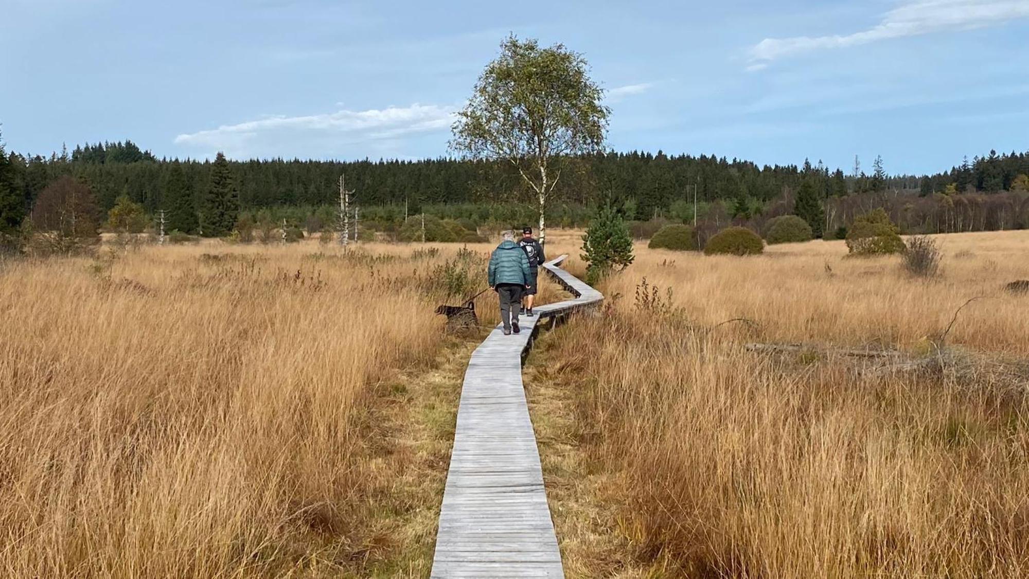 Latyka B&B Robertville Eksteriør bilde